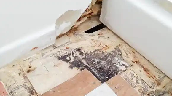 bathroom drywall repair