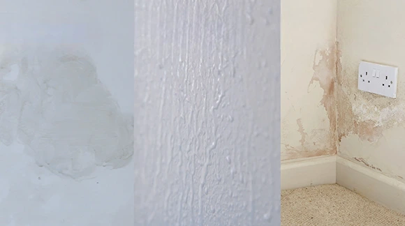 Alternative Methods for Sealing Drywall from Moisture