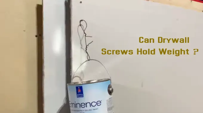 Can Drywall Screws Hold Weight