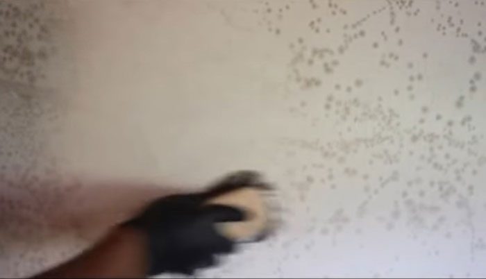 How to Seal Mold on Drywall