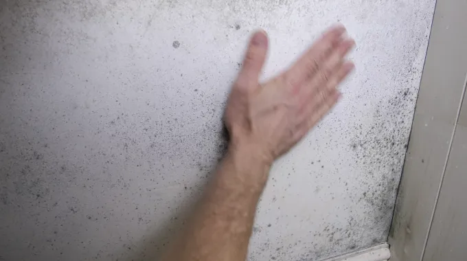 How to Seal Mold on Drywall