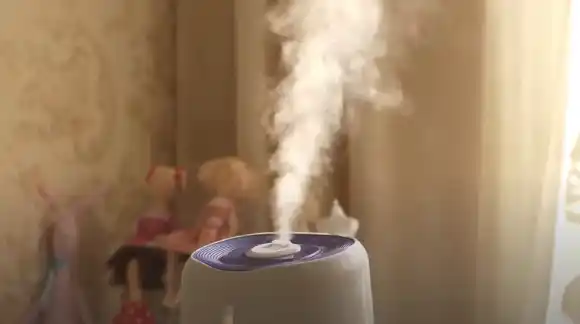 Humidifiers Left On Too Long Too High a Setting