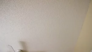 Clean the Ceiling